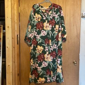 Loft Plus Button Front Dress